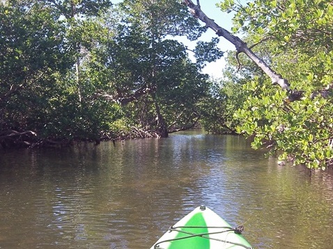 paddling Sanibel Island, Commodore Creek