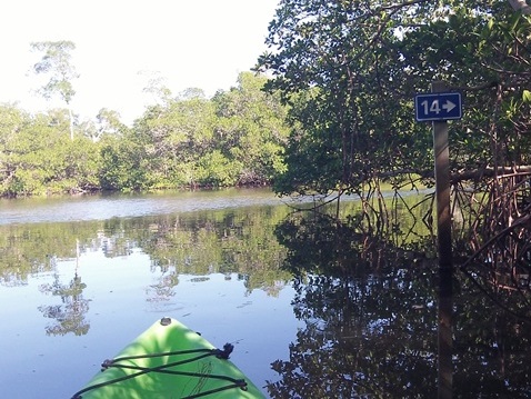 paddling Sanibel Island, Commodore Creek
