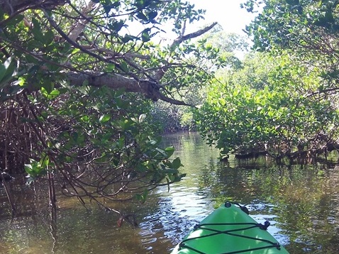 paddling Sanibel Island, Tarpon Bay