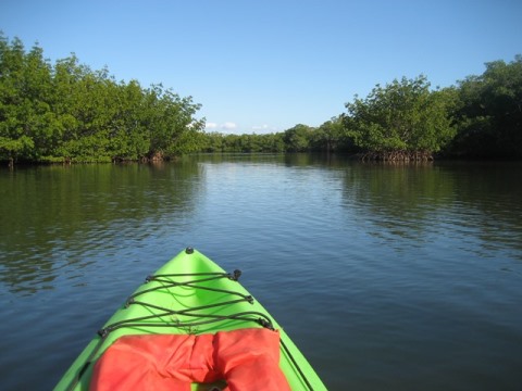 paddling Sanibel Island, Tarpon Bay