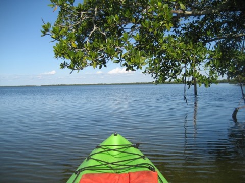 paddling Sanibel Island, Tarpon Bay