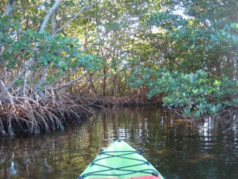 paddling Sanibel Island, Tarpon Bay