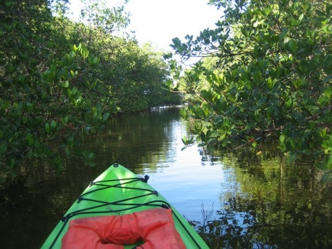 paddling Sanibel Island, Tarpon Bay