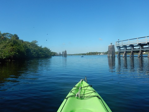 paddling Telegraph Creek, Great Calusa Blueway, kayak, canoe