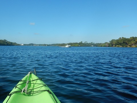 paddling Telegraph Creek, Great Calusa Blueway, kayak, canoe