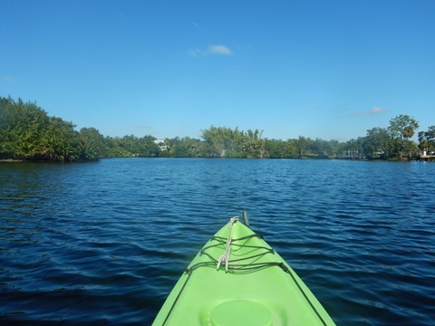 paddling Telegraph Creek, Great Calusa Blueway, kayak, canoe