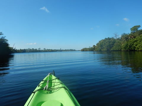 paddling Telegraph Creek, Great Calusa Blueway, kayak, canoe