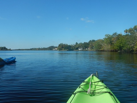 paddling Telegraph Creek, Great Calusa Blueway, kayak, canoe