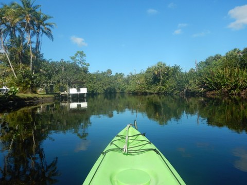 paddling Telegraph Creek, Great Calusa Blueway, kayak, canoe