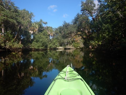 paddling Telegraph Creek, Great Calusa Blueway, kayak, canoe