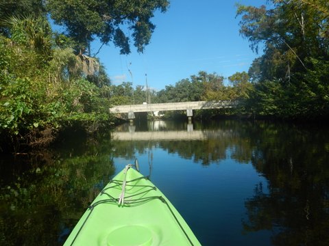 paddling Telegraph Creek, Great Calusa Blueway, kayak, canoe