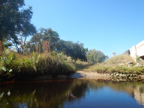 paddling Telegraph Creek, Great Calusa Blueway, kayak, canoe