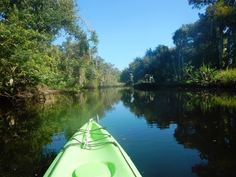 paddling Telegraph Creek, Great Calusa Blueway, kayak, canoe