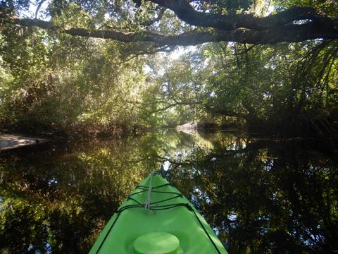 paddling Telegraph Creek, Great Calusa Blueway, kayak, canoe