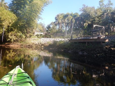 paddling Telegraph Creek, Great Calusa Blueway, kayak, canoe