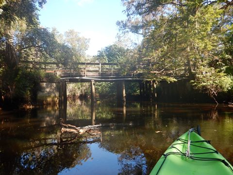 paddling Telegraph Creek, Great Calusa Blueway, kayak, canoe