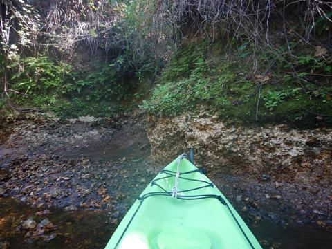 paddling Telegraph Creek, Great Calusa Blueway, kayak, canoe