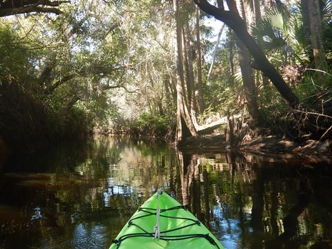 paddling Telegraph Creek, Great Calusa Blueway, kayak, canoe