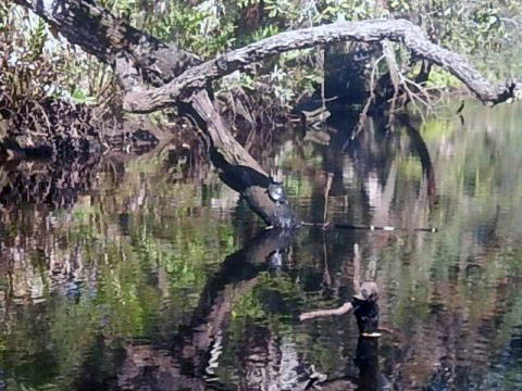 paddling Telegraph Creek, Great Calusa Blueway, kayak, canoe