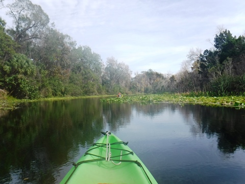 Alexander Springs Run, kayak, canoe