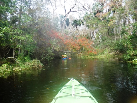 Alexander Springs Run, kayak, canoe