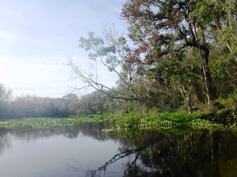 Alexander Springs Run, kayak, canoe