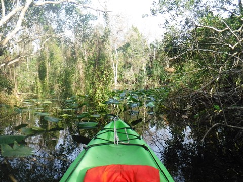 Alexander Springs Run, kayak, canoe