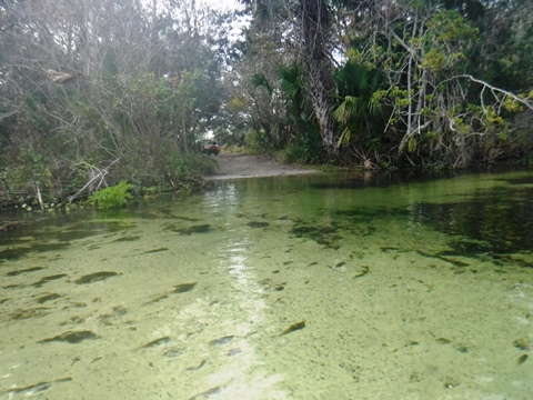 Alexander Springs Run, kayak, canoe