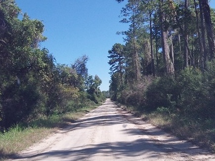 Alexander Springs Run, kayak, canoe