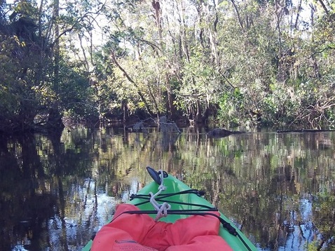 Alexander Springs Run, kayak, canoe