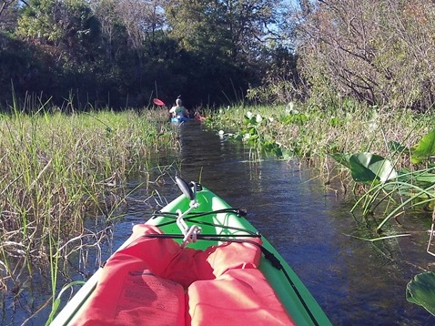 Alexander Springs Run, kayak, canoe