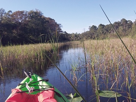 Alexander Springs Run, kayak, canoe