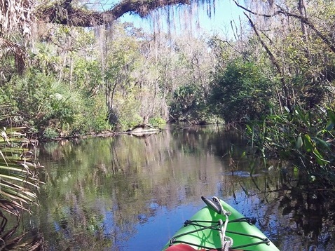 Alexander Springs Run, kayak, canoe