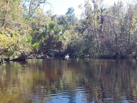 Alexander Springs Run, kayak, canoe