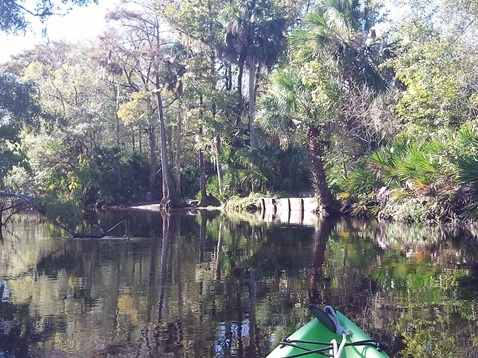 Alexander Springs Run, kayak, canoe