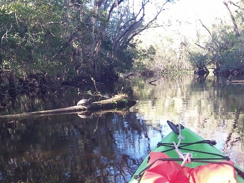 Alexander Springs Run, kayak, canoe