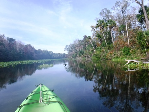 Alexander Springs Run