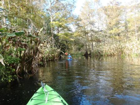 paddling Arbuckle Creek, kayak, canoe