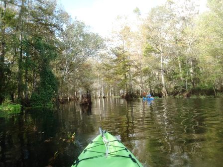 paddling Arbuckle Creek, kayak, canoe