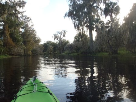 paddling Arbuckle Creek, kayak, canoe