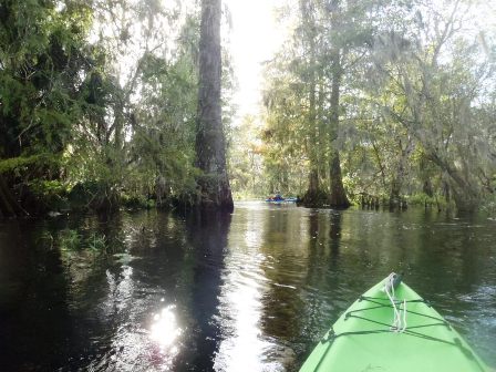 paddle Arbuckle Creek, kayak, canoe