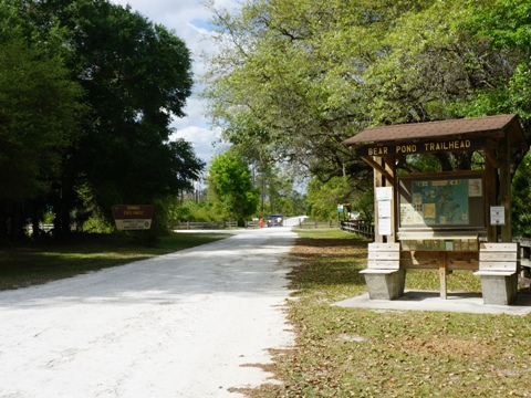 Black Water Creek, Seminole State Forest