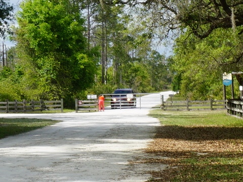 Black Water Creek, Seminole State Forest