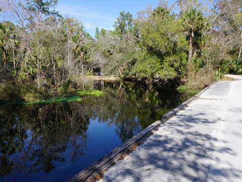 Black Water Creek, Seminole State Forest