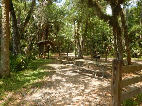 Black Water Creek, Seminole State Forest