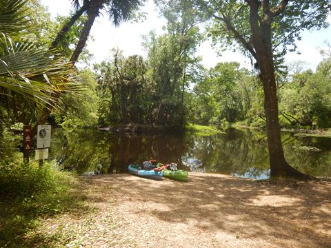 Black Water Creek, Seminole State Forest