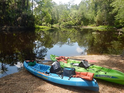 Black Water Creek, Seminole State Forest