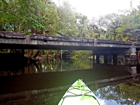 Black Water Creek, Seminole State Forest