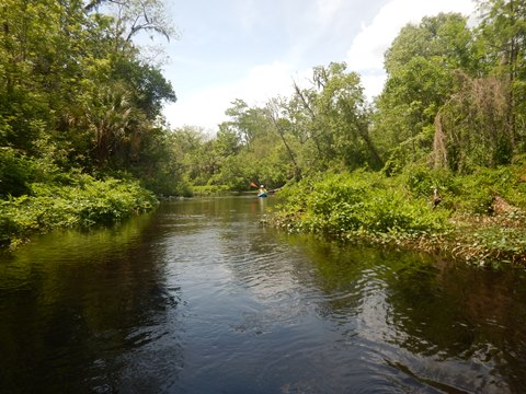 Black Water Creek, Seminole State Forest