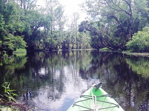 Black Water Creek, Seminole State Forest